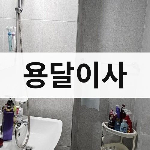 대전 동부 용달이사 포장이사