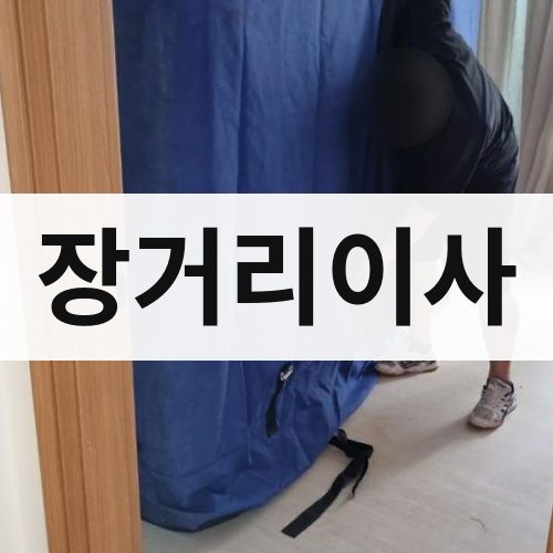 대전 동부 장거리이사 포장이사