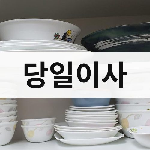 대전 동부 당일이사 포장이사